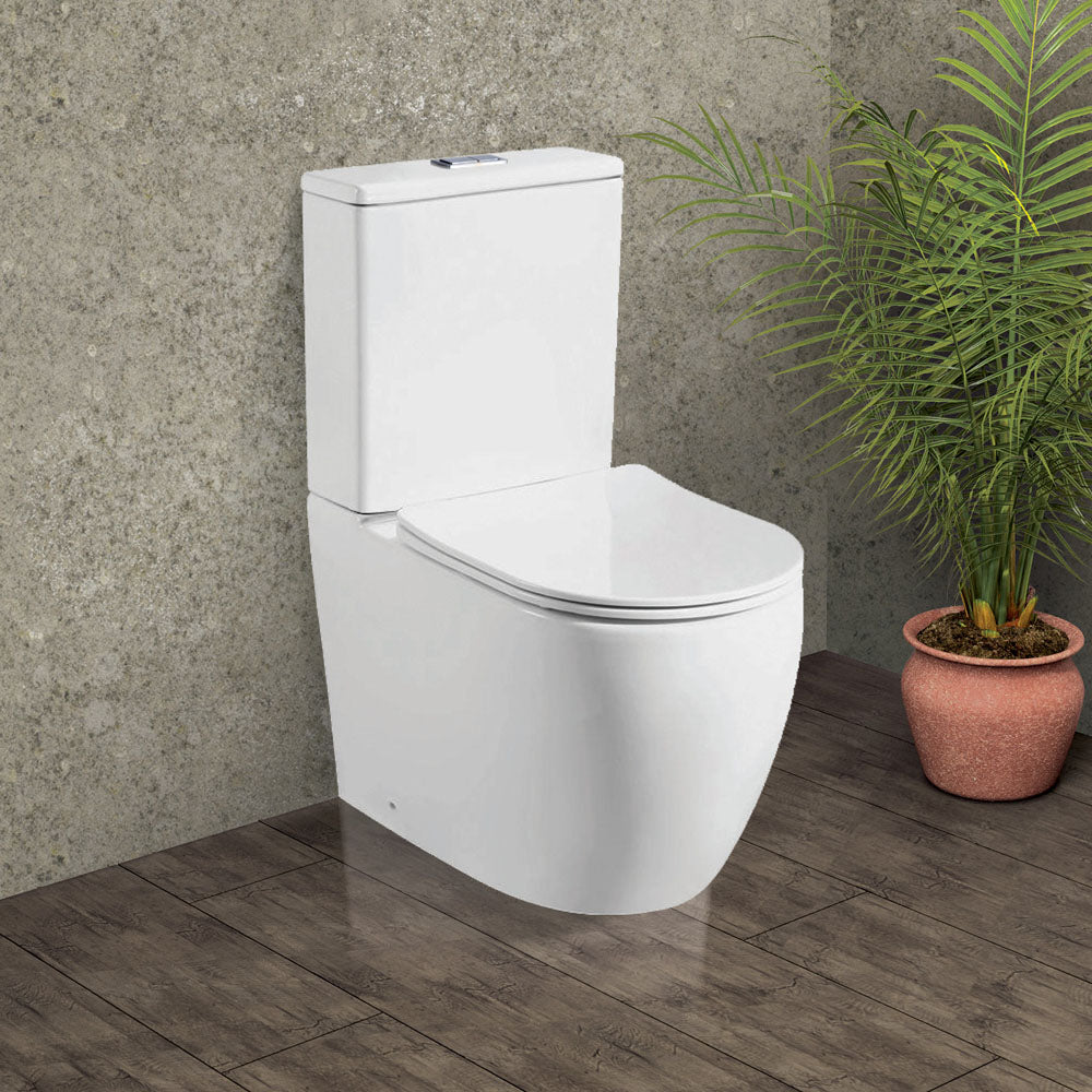 Fienza Hana Cistern Only Back-to-Wall, Chrome