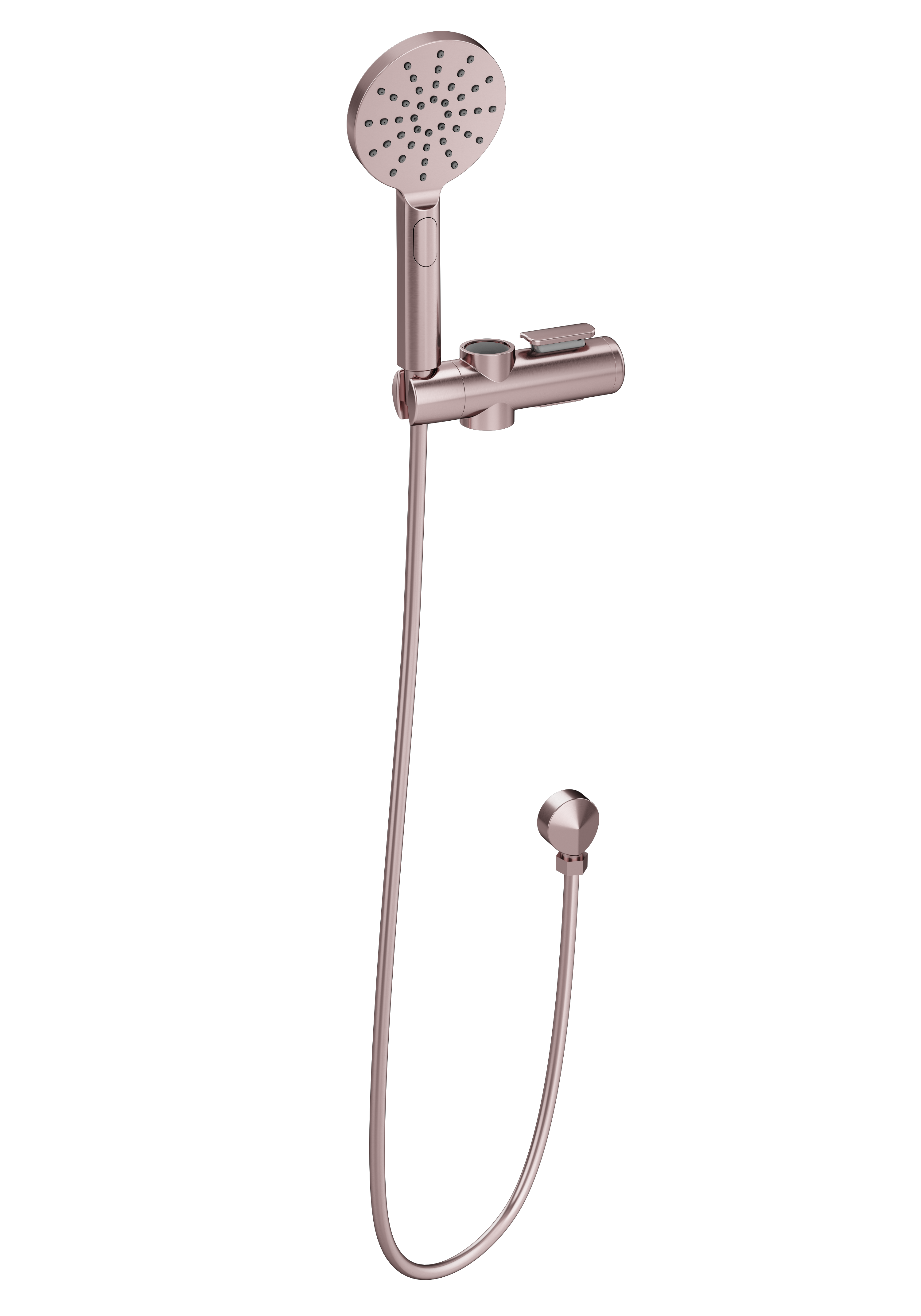 care range hand shower sliding bracket set, Champagne