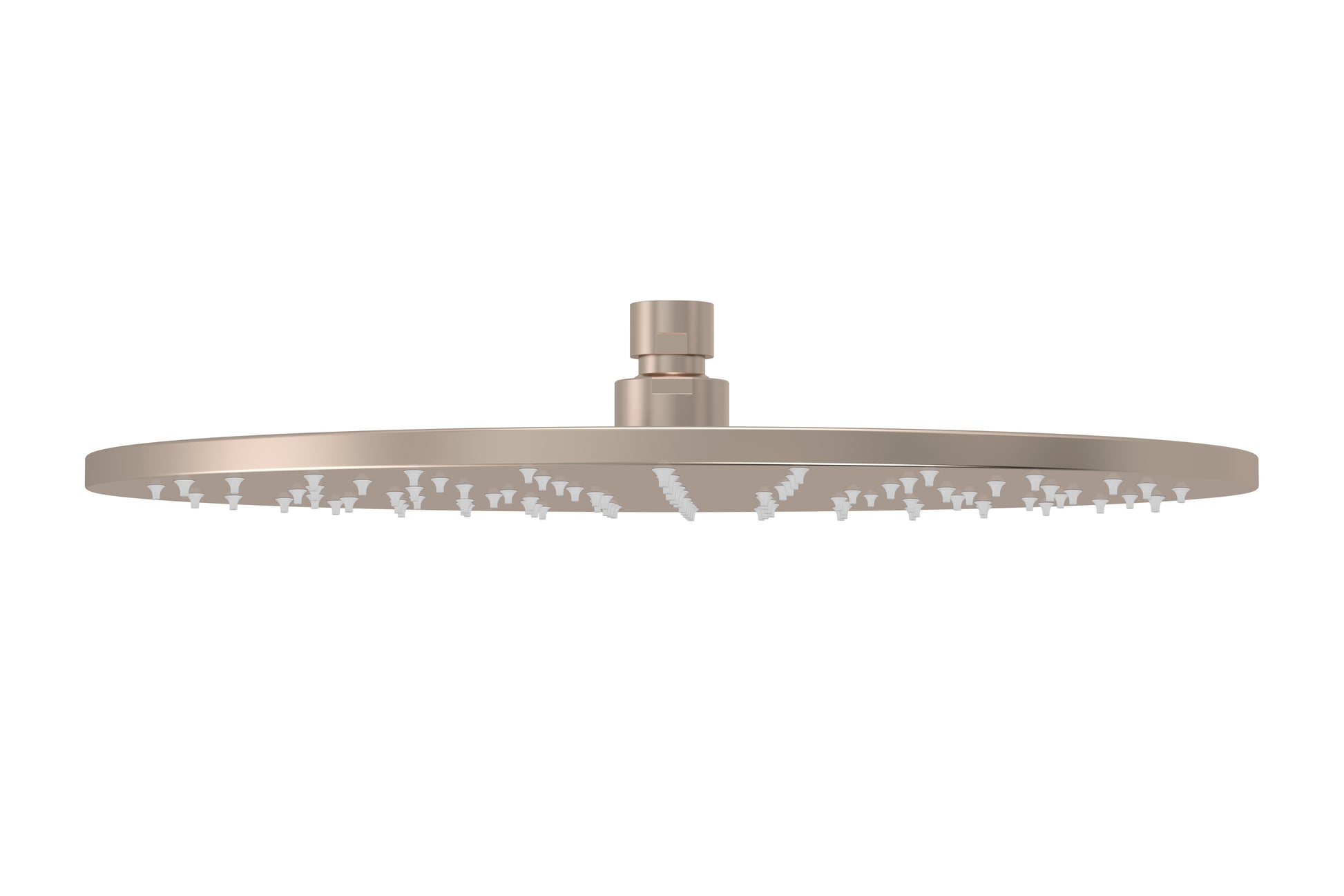 Round Shower Rose 300mm, Champagne