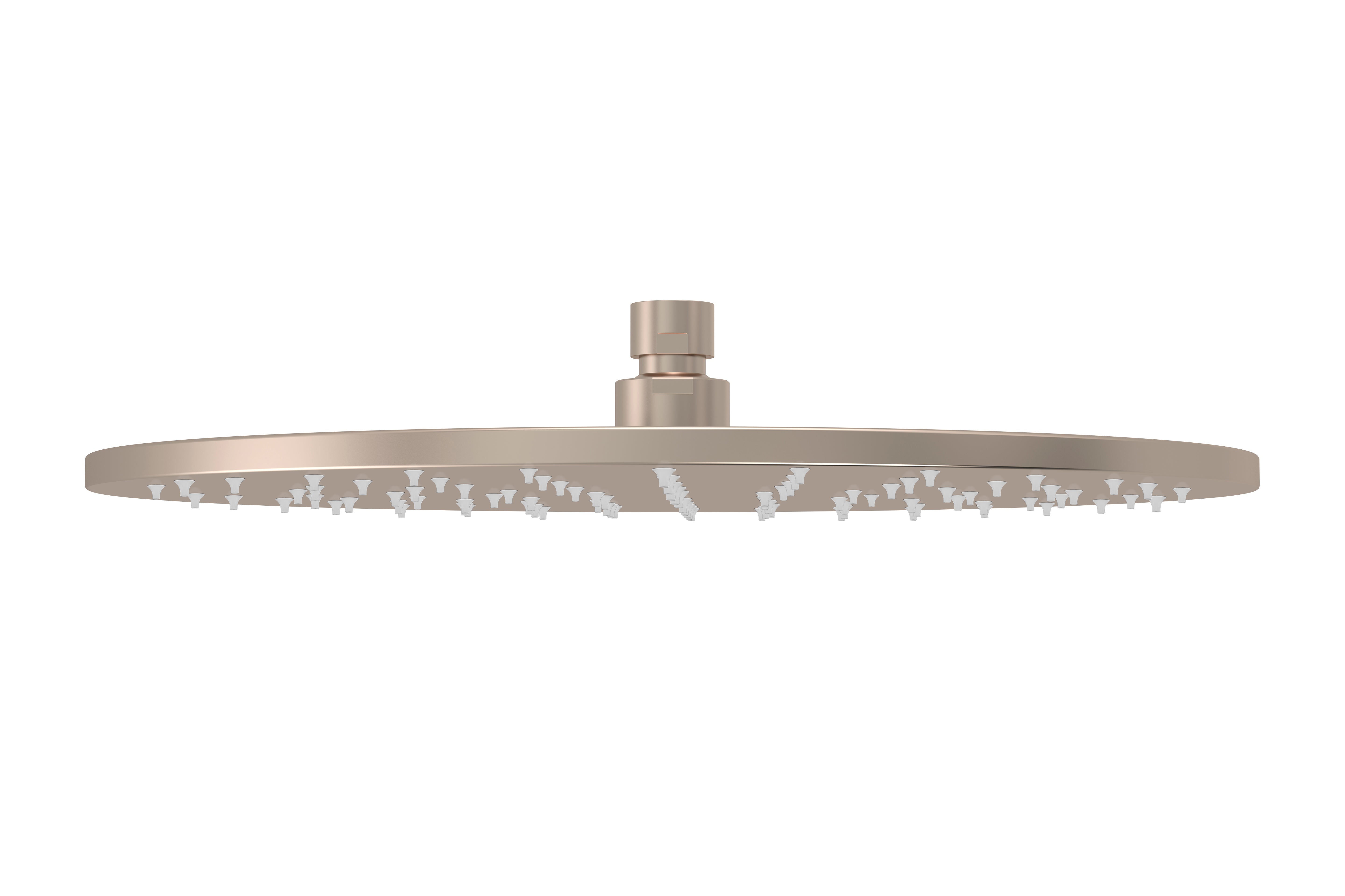 Round Shower Rose 300mm, Champagne