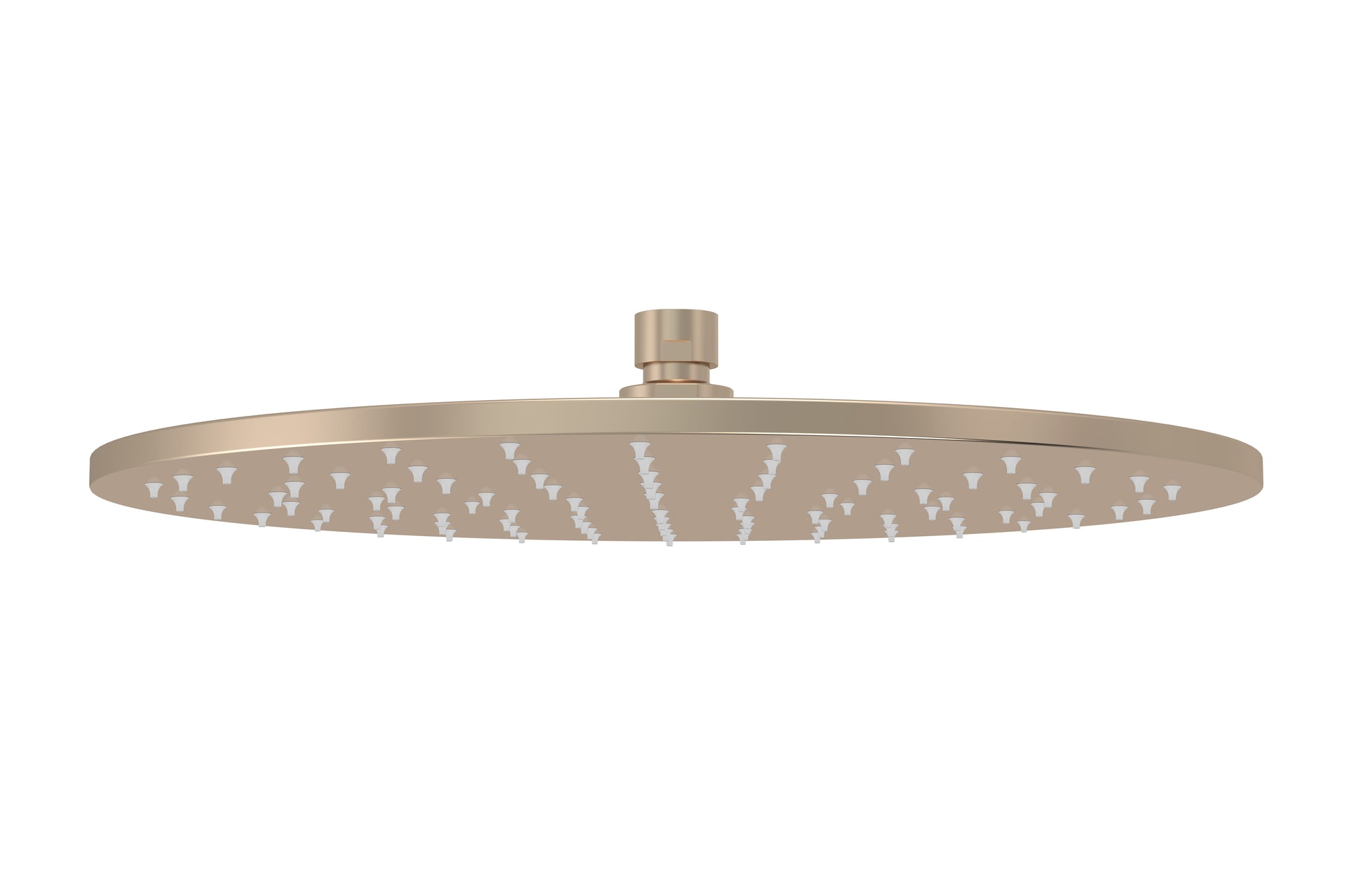 Round Shower Rose 300mm, Champagne