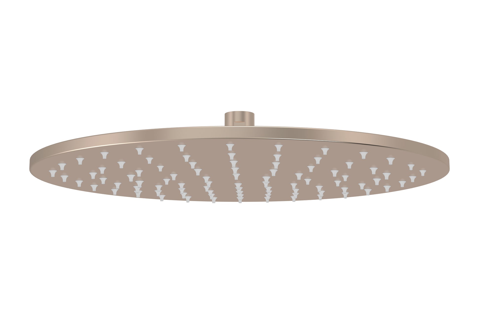 Round Shower Rose 300mm, Champagne