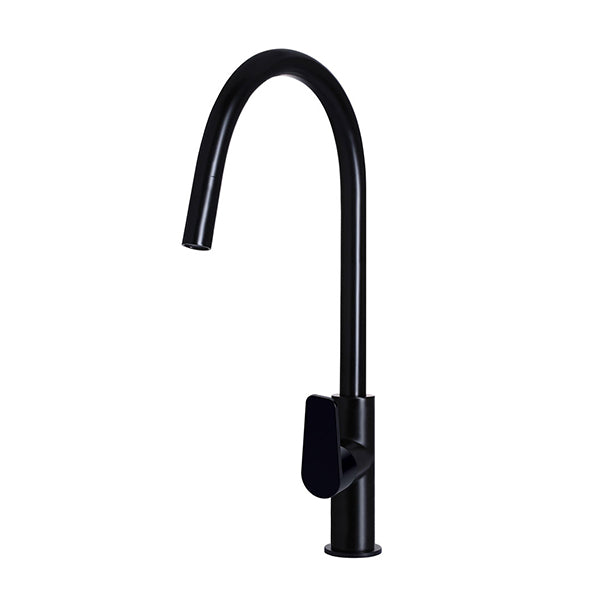 Round Paddle Piccola Pull Out Kitchen Mixer Tap, Matte Black