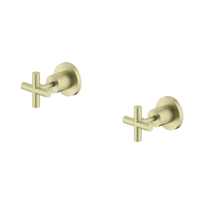 Nero X Plus Wall Top Assemblies, Brushed Gold