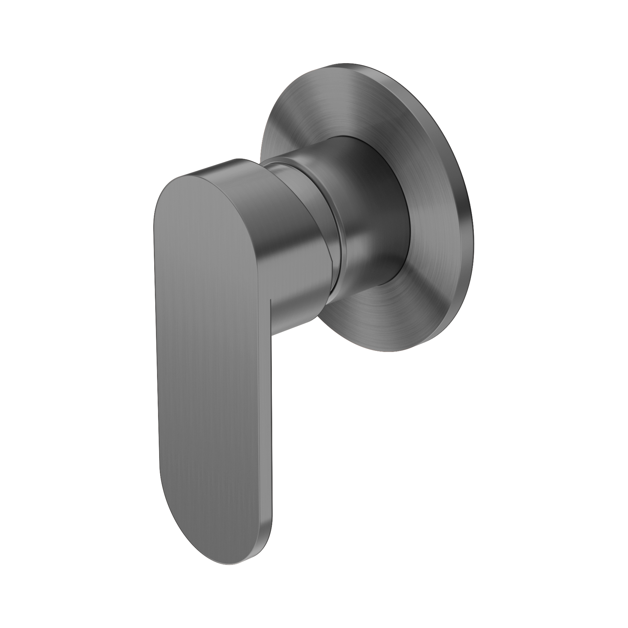 Nero Ecco Wall/Shower Mixer 80mm Round Plate, Gun Metal
