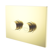 Nero Mecca Care Raised Disabled Care Pneumatic Flush Buttons Plate DDA Accessible Toilet Compliant, Brushed Gold