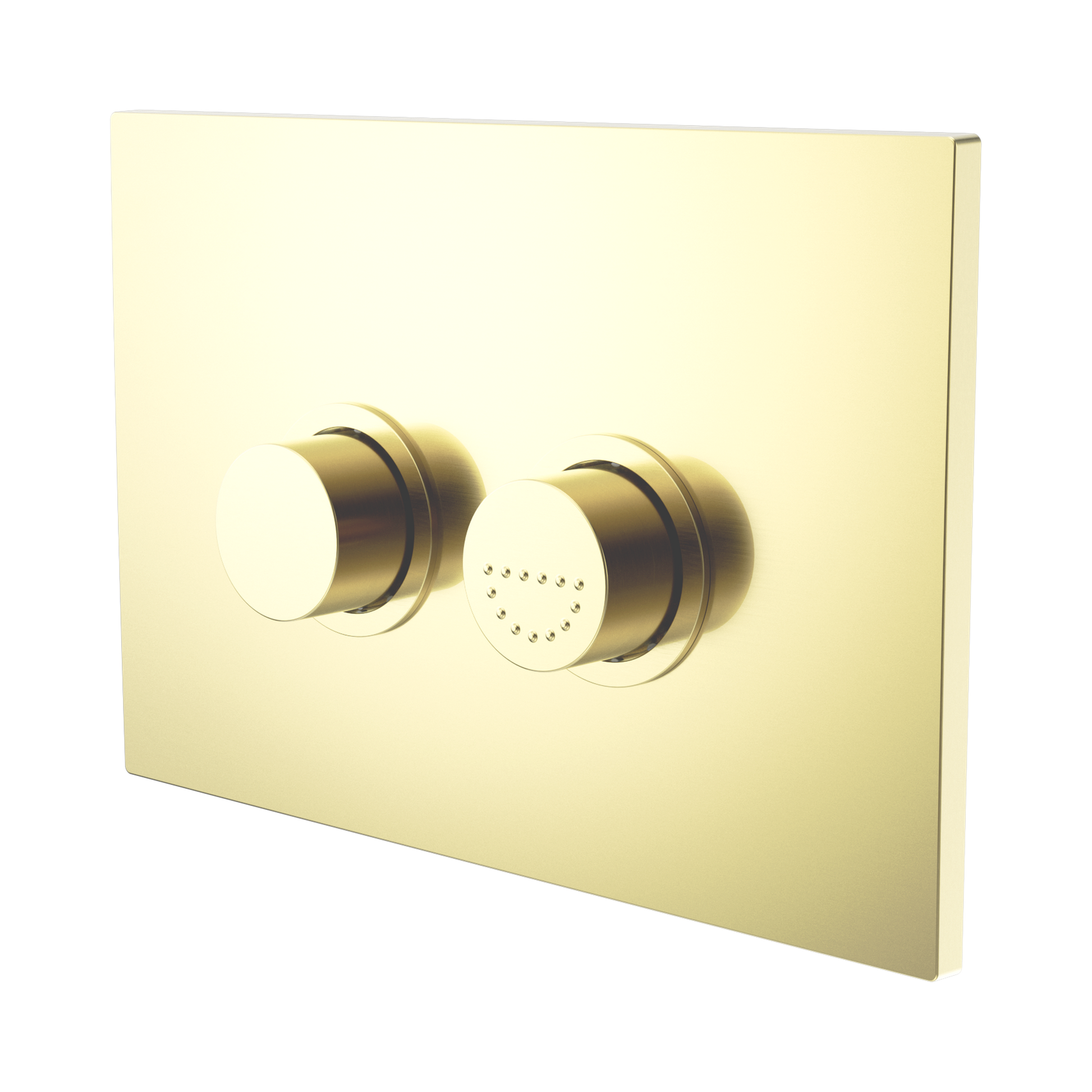 Nero Mecca Care Raised Disabled Care Pneumatic Flush Buttons Plate DDA Accessible Toilet Compliant, Brushed Gold