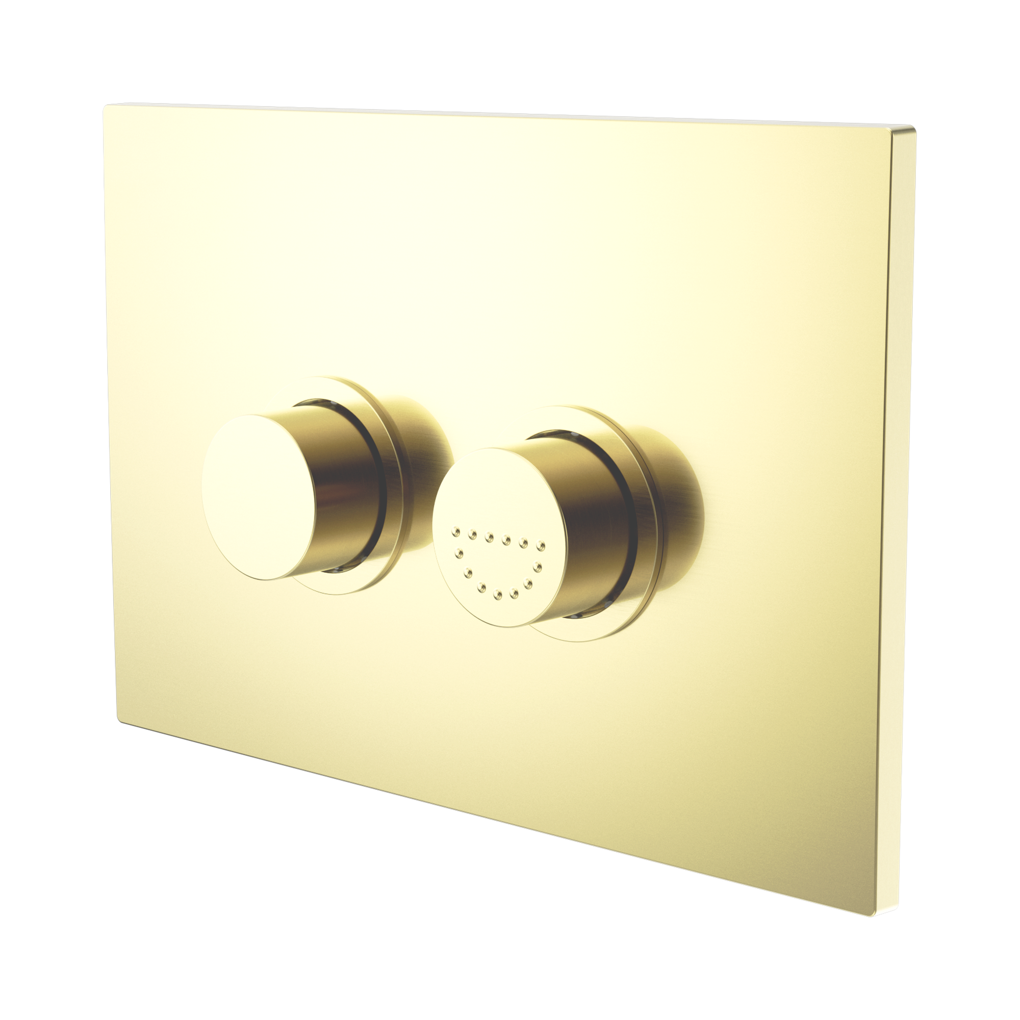 Nero Mecca Care Raised Disabled Care Pneumatic Flush Buttons Plate DDA Accessible Toilet Compliant, Brushed Gold