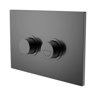 Nero Mecca Care Raised Disabled Care Pneumatic Flush Buttons Plate DDA Accessible Toilet Compliant, Gun Metal
