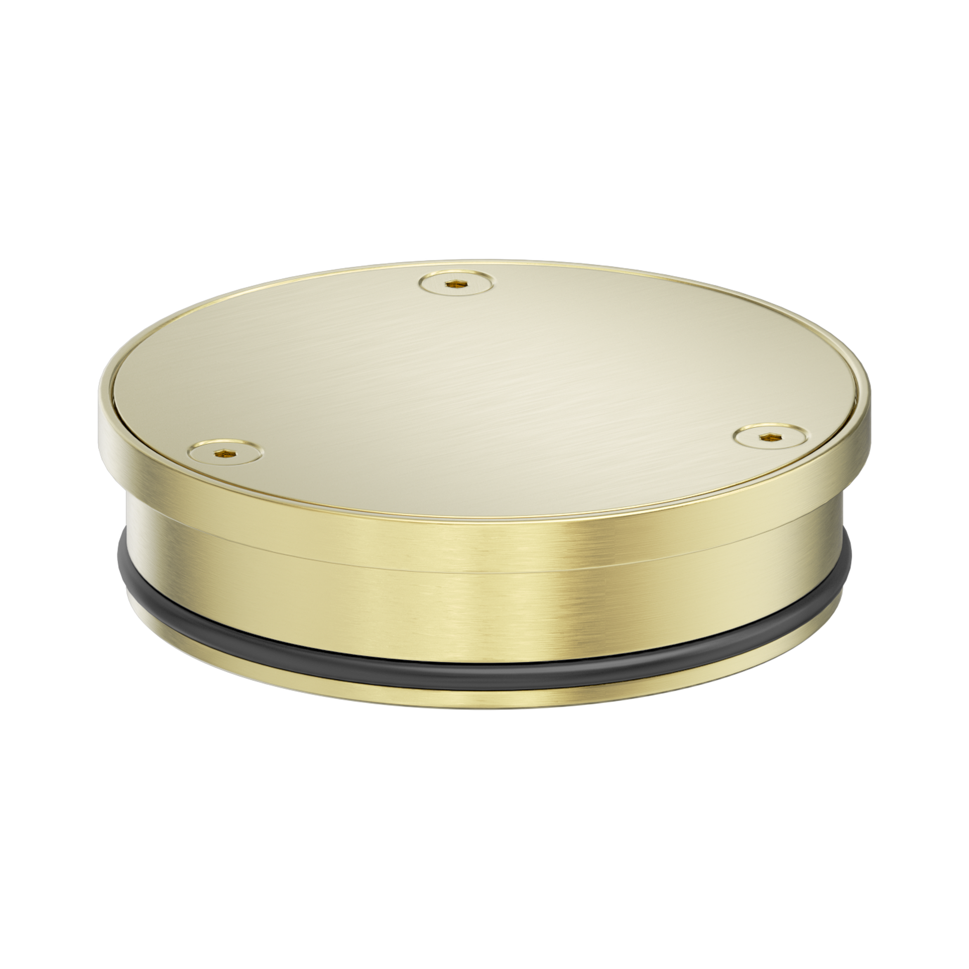 Nero 316L Stainless Round Clear Out 100mm Outlet, Brushed Gold