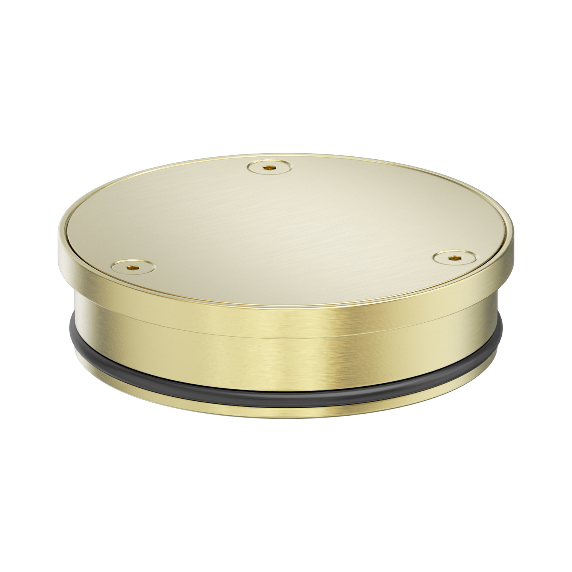 Nero 316L Stainless Round Clear Out 100mm Outlet, Brushed Gold