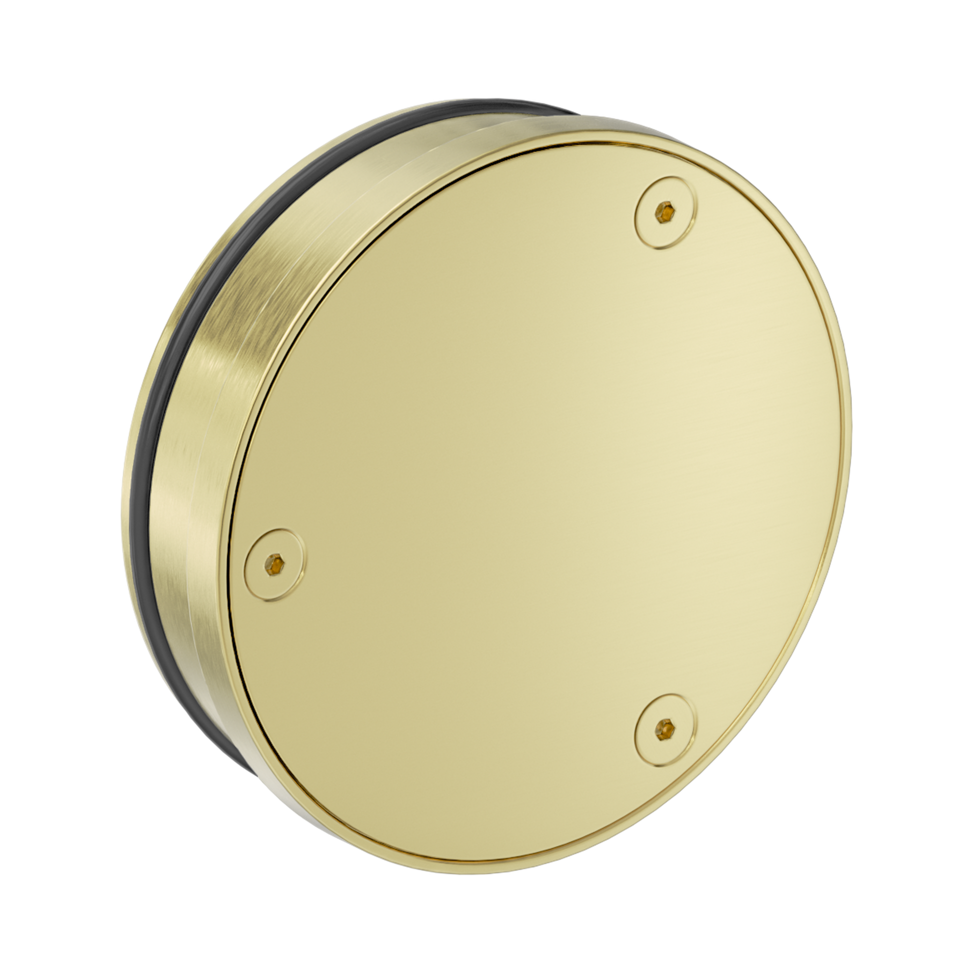 Nero 316L Stainless Round Clear Out 100mm Outlet, Brushed Gold