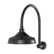 Phoenix Nostalgia Vintage Shower Arm & Rose, Antique Black