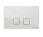 Plain Plate-Polished Chrome