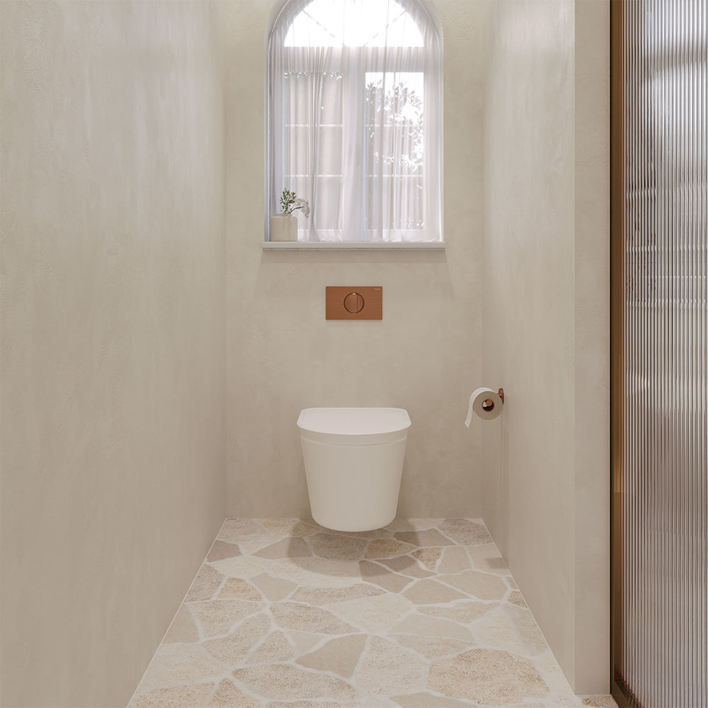 Fienza RAK Valet Wall-Hung with GEBERIT Sigma Cistern and Seat Matte No Button, Gloss White