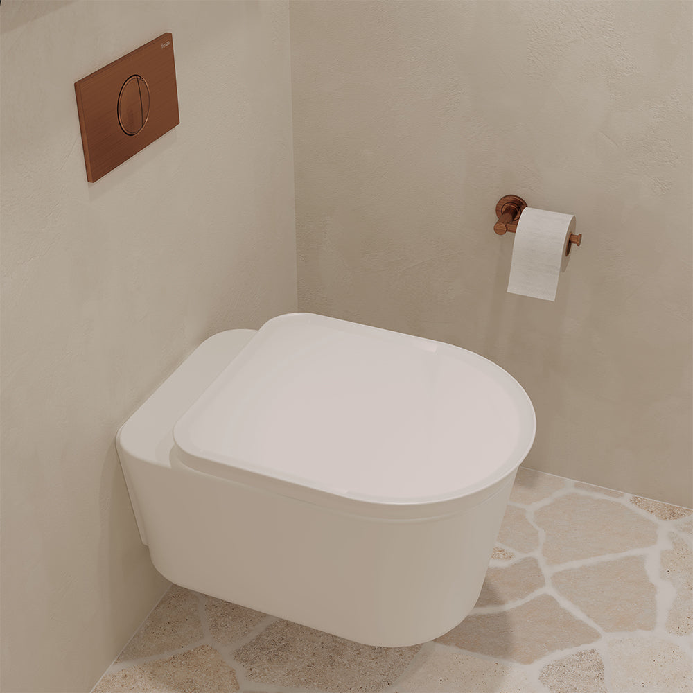 Fienza RAK Valet Wall-Hung with RT In-Wall Cistern and Seat Matte No Button, Gloss White