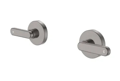 Fienza Kaya Lever Wall Taps, Gun Metal