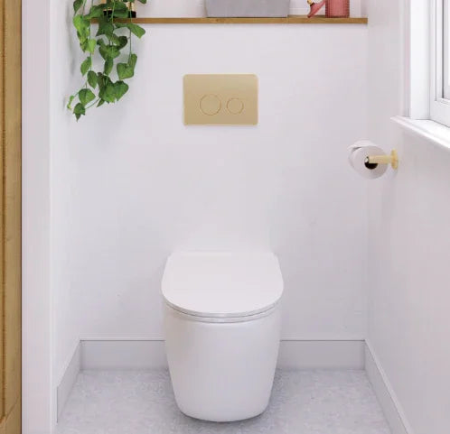 Fienza Kaya Toilet Roll Holder, Urban Brass