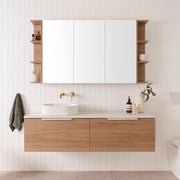 ADP Glacier Shelf Shaving Cabinet
