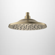 Caroma Riviere Rain Shower 250mm, Brushed Brass