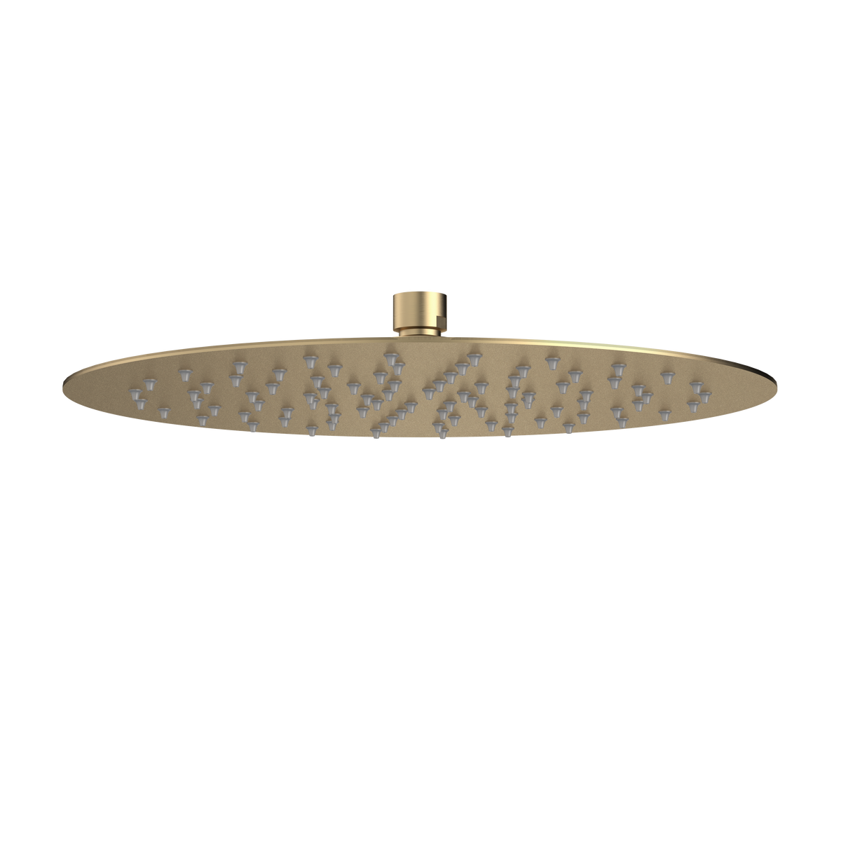 Caroma 300mm round rain shower head in brushed brass finish
