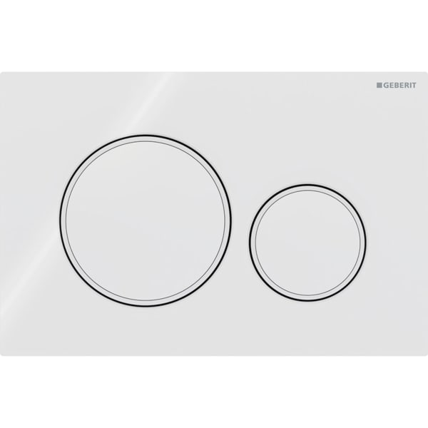 Geberit Sigma 20 Dual Flush Button Round White With Matte White Trim