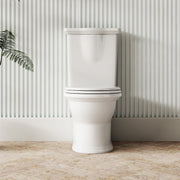 Milano Federation Back to Wall Rimless Toilet Suite