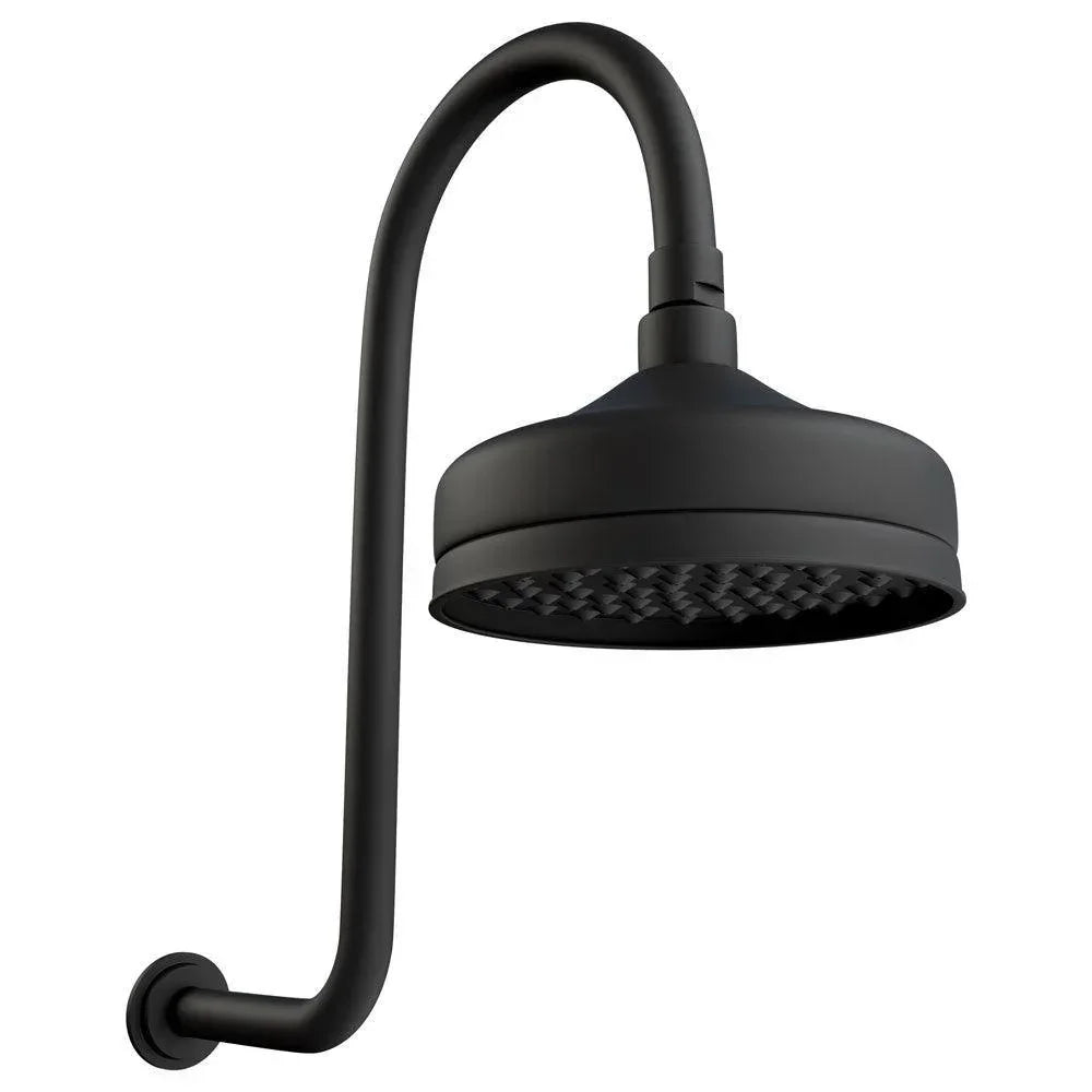 Fienza LILLIAN Shower Arm Set - Ideal Bathroom Centre411138B-AMatte Black